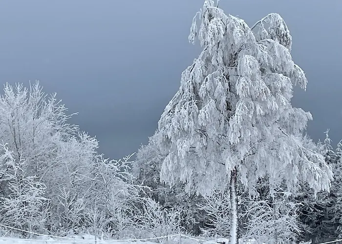 Apartment Haus Aktiv Garten2