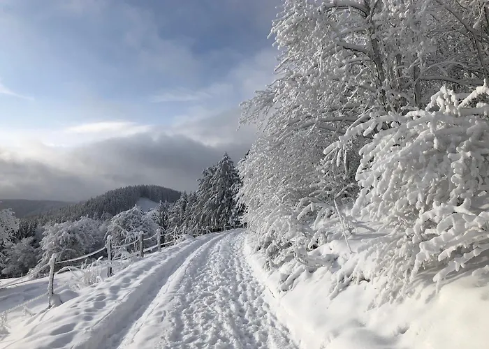 Haus Aktiv Garten2 * Winterberg
